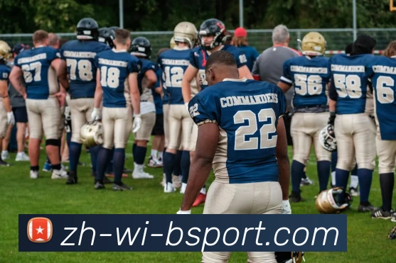 必一体育官方网站平台生态图